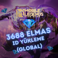 3.688 Elmas Global ID