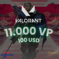 Valorant 11.000 VP - 100 USD