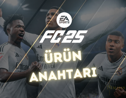 EA Sports FC 25 CDKEY